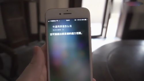 华为手机怎么开siri