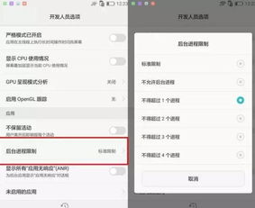 华为手机怎么开发选项