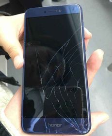 华为手机怎么养蛙