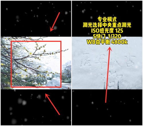 华为手机雪景怎么找