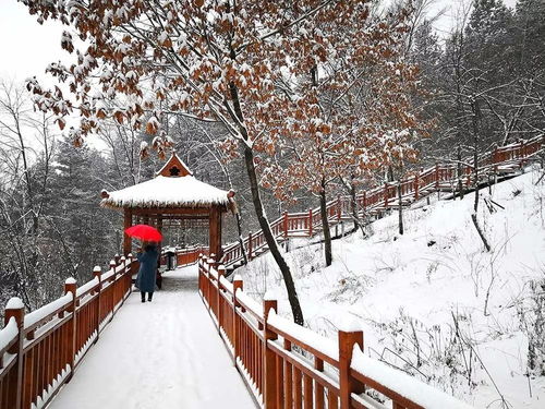 华为手机雪景怎么拍摄