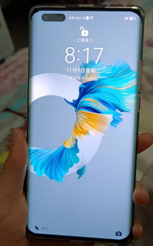 华为手机怎么查询款式