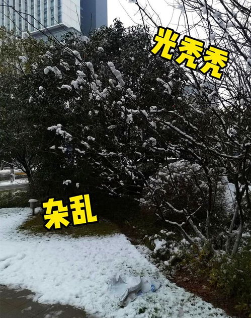 雪景怎么拍摄华为手机 雪景怎么拍摄华为手机