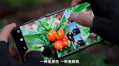 华为手机怎么拍摄森林