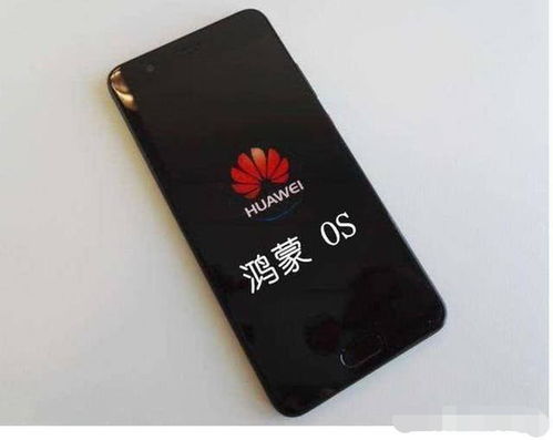 华为鸿蒙手机怎么切换 华为鸿蒙手机怎么切换