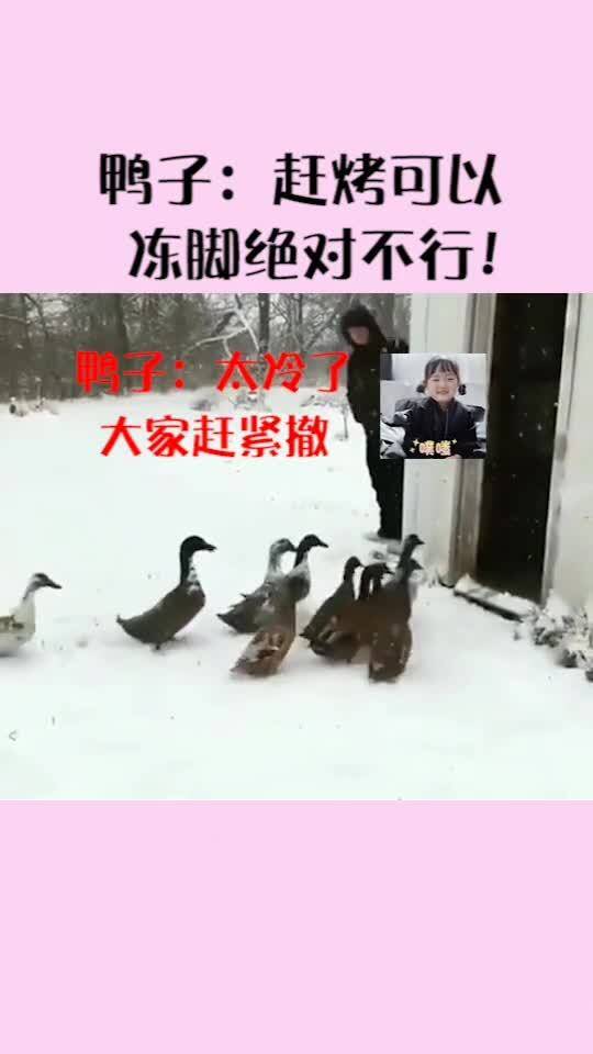 华为手机桌面怎么返回