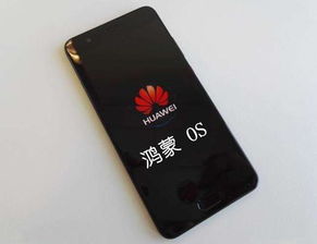 怎么装华为手机系统