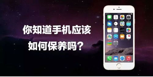 怎么保养新华为手机