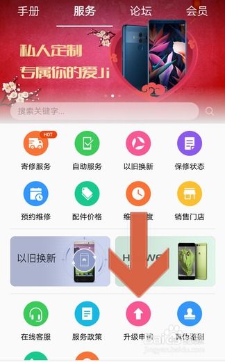 华为手机怎么才是会员