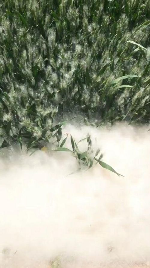 华为手机怎么螺旋桌面