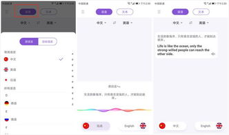 华为手机怎么选中翻译