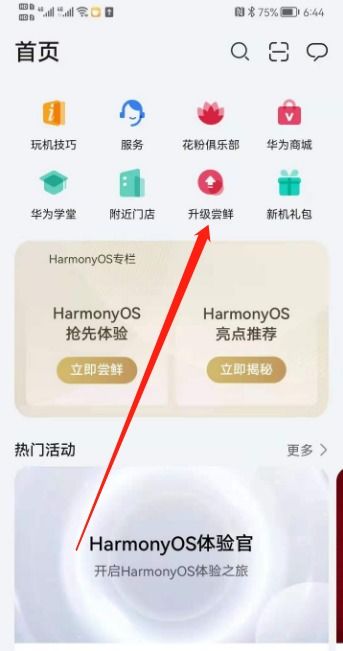 华为怎么晋级手机系统