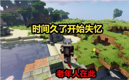 庭院游戏攻略 VS 失忆的少年游戏攻略小说