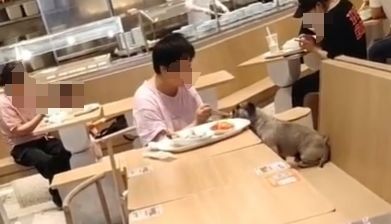 网友称一家连锁餐厅有顾客带狗上桌