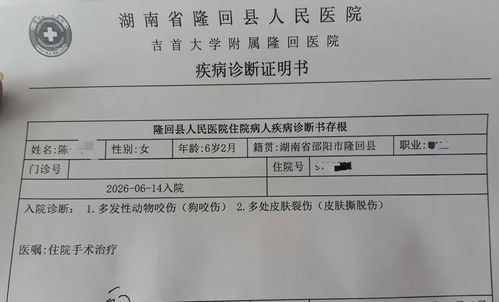 湖南多人连续4小时遭同一只狗咬伤