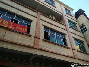 广东东莞一民房现“一窗6店”