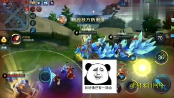 预购游戏攻略 VS 鼻子鼻子游戏攻略