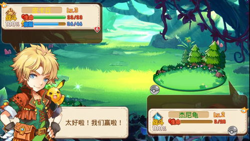 口袋妖怪一对一游戏攻略 VS 太子妃物语游戏攻略图文