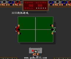 游戏穹顶攻略 VS 乒乓大师游戏攻略