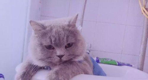 快穿惊恐游戏跳棋游戏攻略 VS nightmare游戏攻略