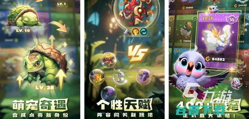 加查俱乐部游戏攻略 VS 大猫咪游戏游戏攻略视频