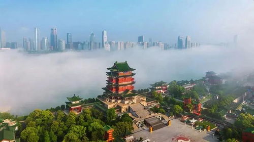连背三篇古文可终身免费游滕王阁