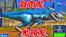 疯狂游戏沧龙游戏攻略 VS 丛林谜团游戏攻略