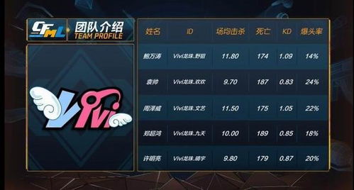 vivi游戏攻略 VS 王者游戏教学攻略
