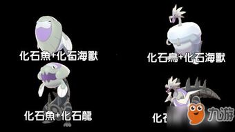 剑盾手机版游戏攻略大全 VS 秀才逆袭记游戏文案攻略