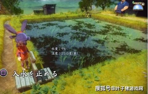插秧游戏攻略 VS 留校游戏攻略