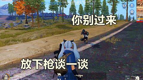 115游戏攻略 VS 荒野驾车游戏攻略