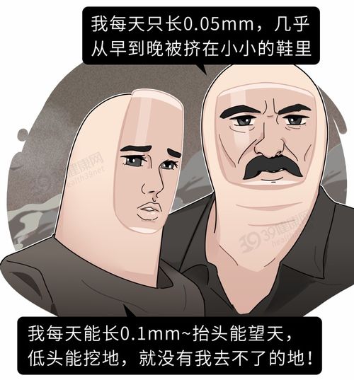 游戏鲸鱼游戏攻略 VS 台儿庄游戏攻略