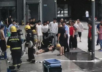 黄鼠狼开抽屉翻零食 悄悄到访3年
