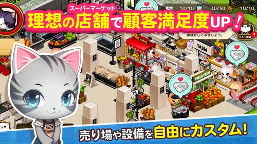 Vr游戏硬件攻略 VS 猫咪游戏大全游戏攻略