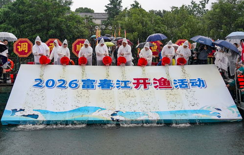 富春江第一网江鲜鲜到掉眉毛