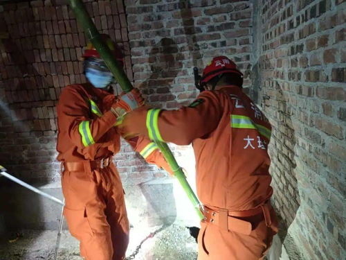 村民报警抓蛇没想到是“买1送22”