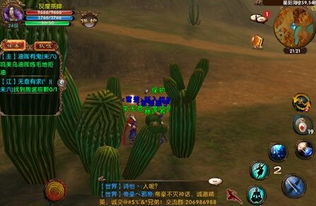 狂暴小猫游戏攻略 VS 游戏卧虎藏龙攻略