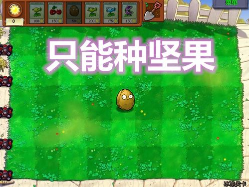 家庭游戏游戏攻略视频 VS 游戏攻略植物