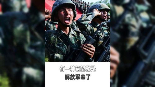 有一种安心叫子弟兵来了