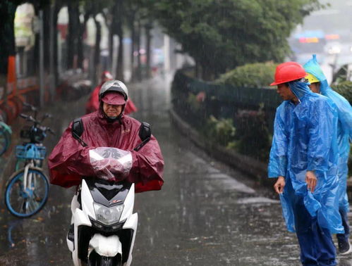 你的感觉没错：极端天气越来越常见了