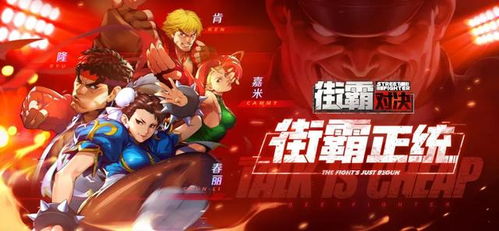 玄门游戏攻略 VS 电子游戏厅街头霸王攻略