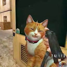 小忙乐园游戏攻略 VS 小猫游戏橘猫游戏攻略