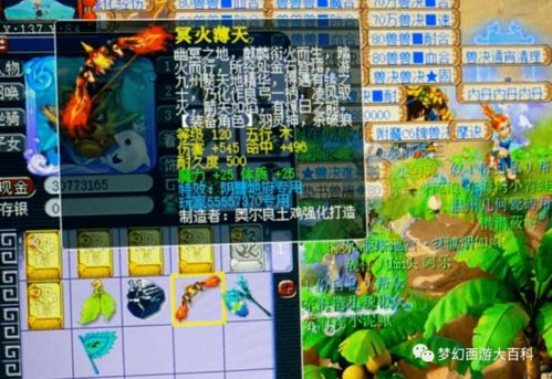 模拟美利坚游戏攻略 VS 桃子老王游戏攻略