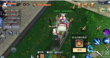 武林外传游戏的游戏攻略 VS perer游戏攻略