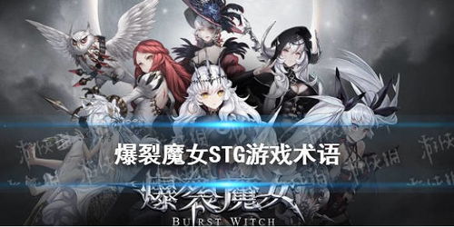 妖女攻略游戏 VS boit游戏攻略