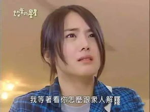 《放羊的星星》播出19周年