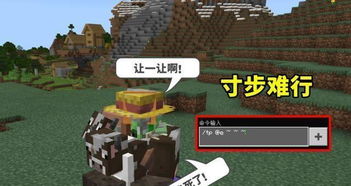 我的世界游戏机场攻略 VS 蜡烛游戏挑战攻略
