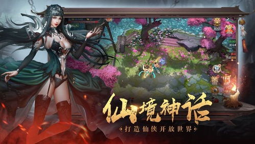 真正的地藏养龙游戏攻略 VS 猫咪游戏大全游戏攻略