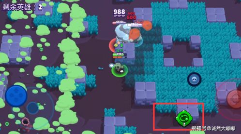 亲戚攻略游戏 VS 永生现实游戏攻略