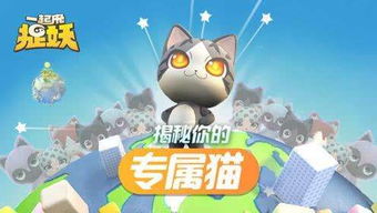 婚姻物语攻略游戏 VS 大猫咪游戏游戏攻略视频